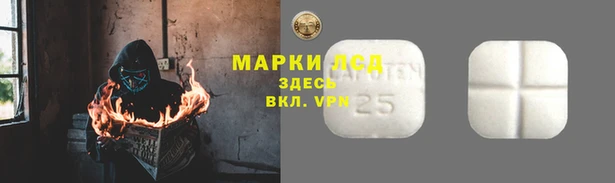 прущие грибы Нея