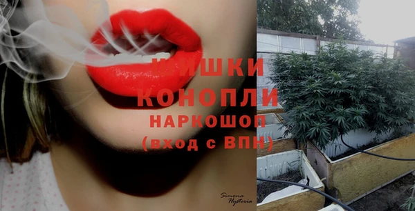мескалин Ельня